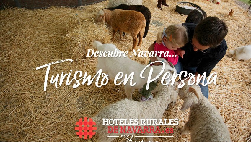 feria-del-ganado-de-santesteban-actividades-de-turismo-rural-en-navarra-norte-de-espana-noviembre-escapadas-de-fin-de-semana-en-familia